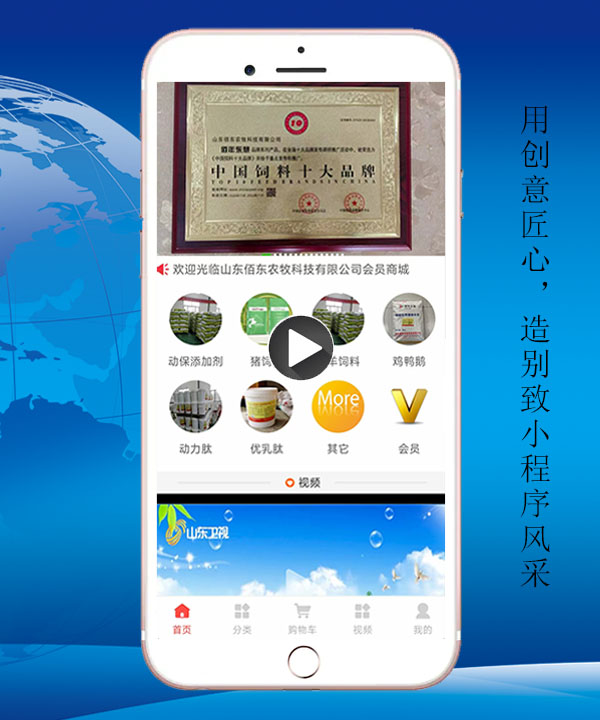 临沂小程序开发服务商